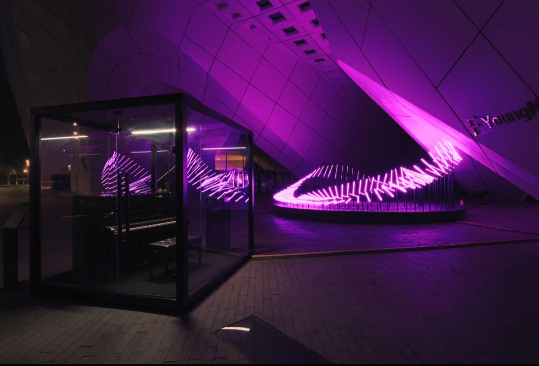 ammonite | 互动音乐艺术体验装置