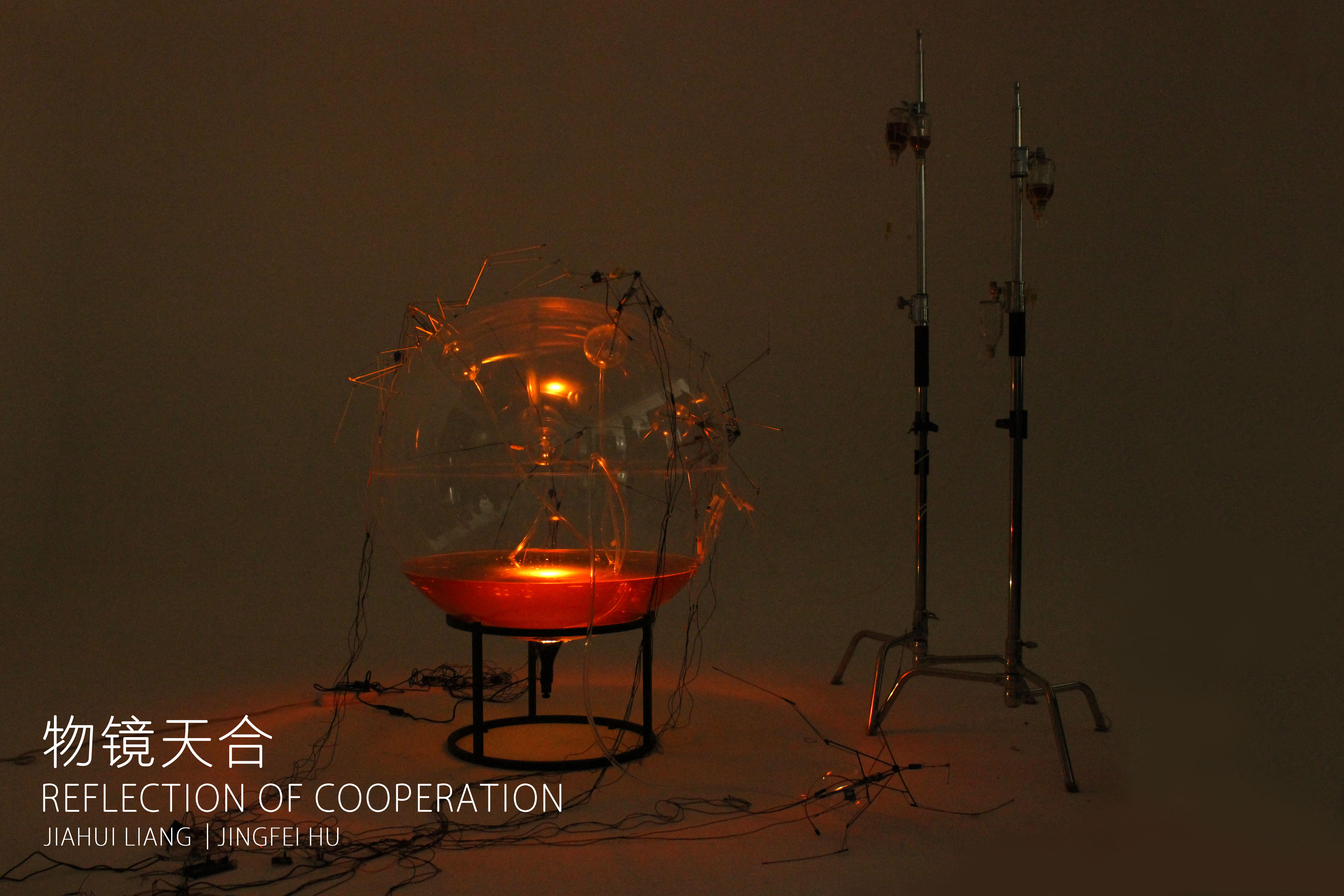 物镜天合Reflection of cooperation