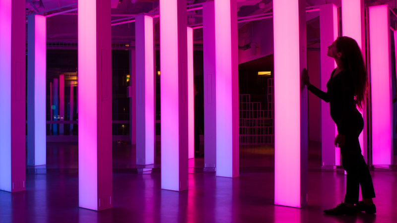 Instagram Light Forest