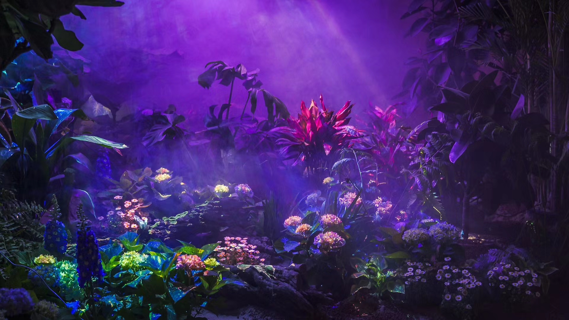 Fish of Shanghai - Digital Landscape V3.