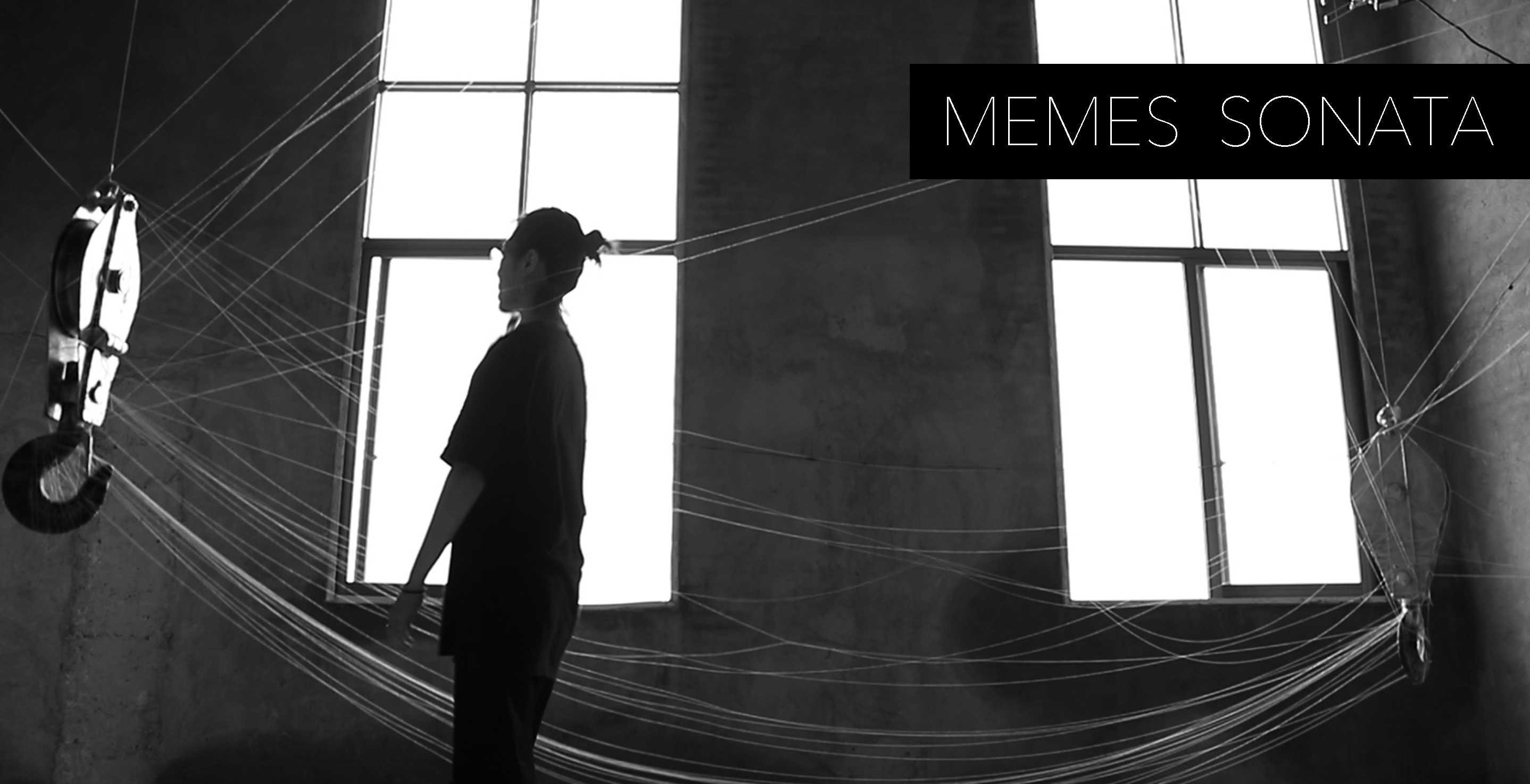 MEMES SONATA觅母奏鸣曲