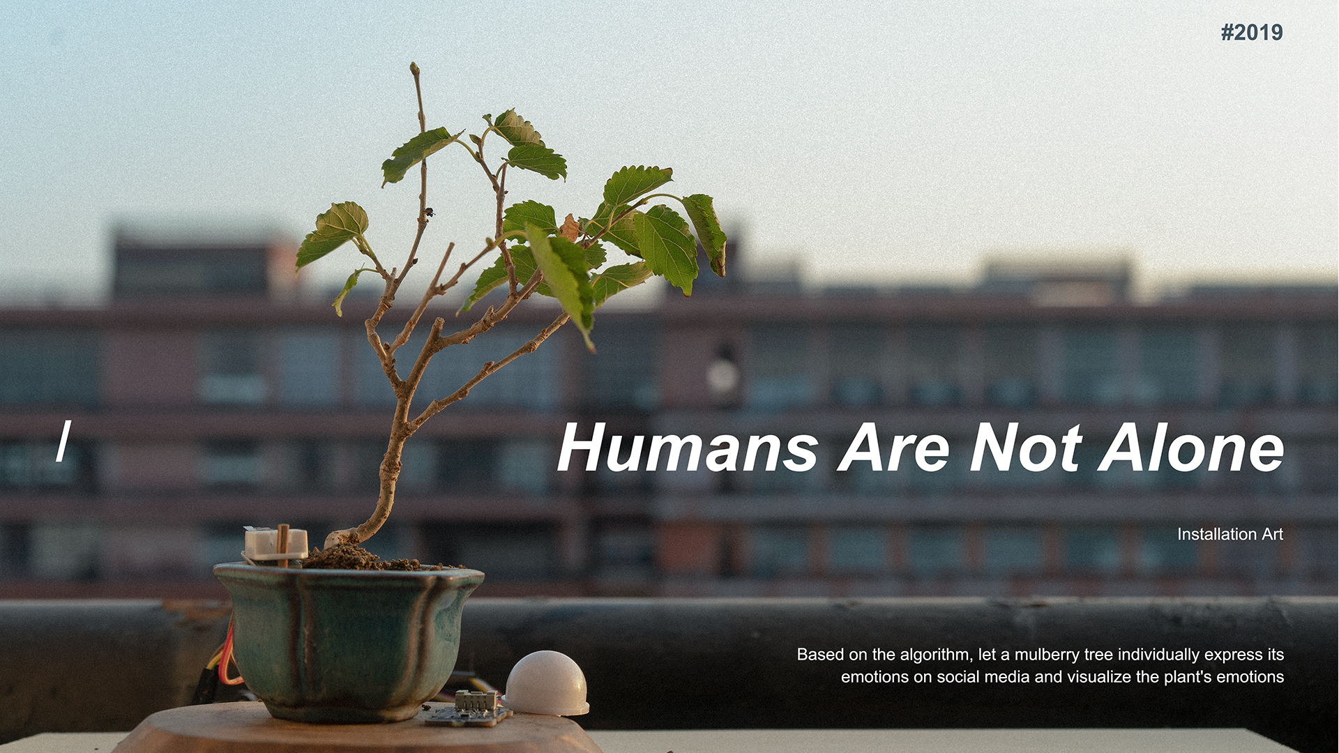 Humans are not alone