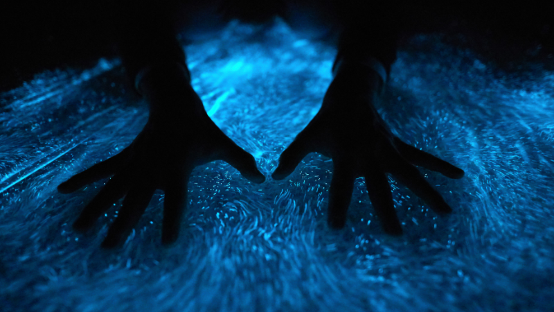 Glowing Nature