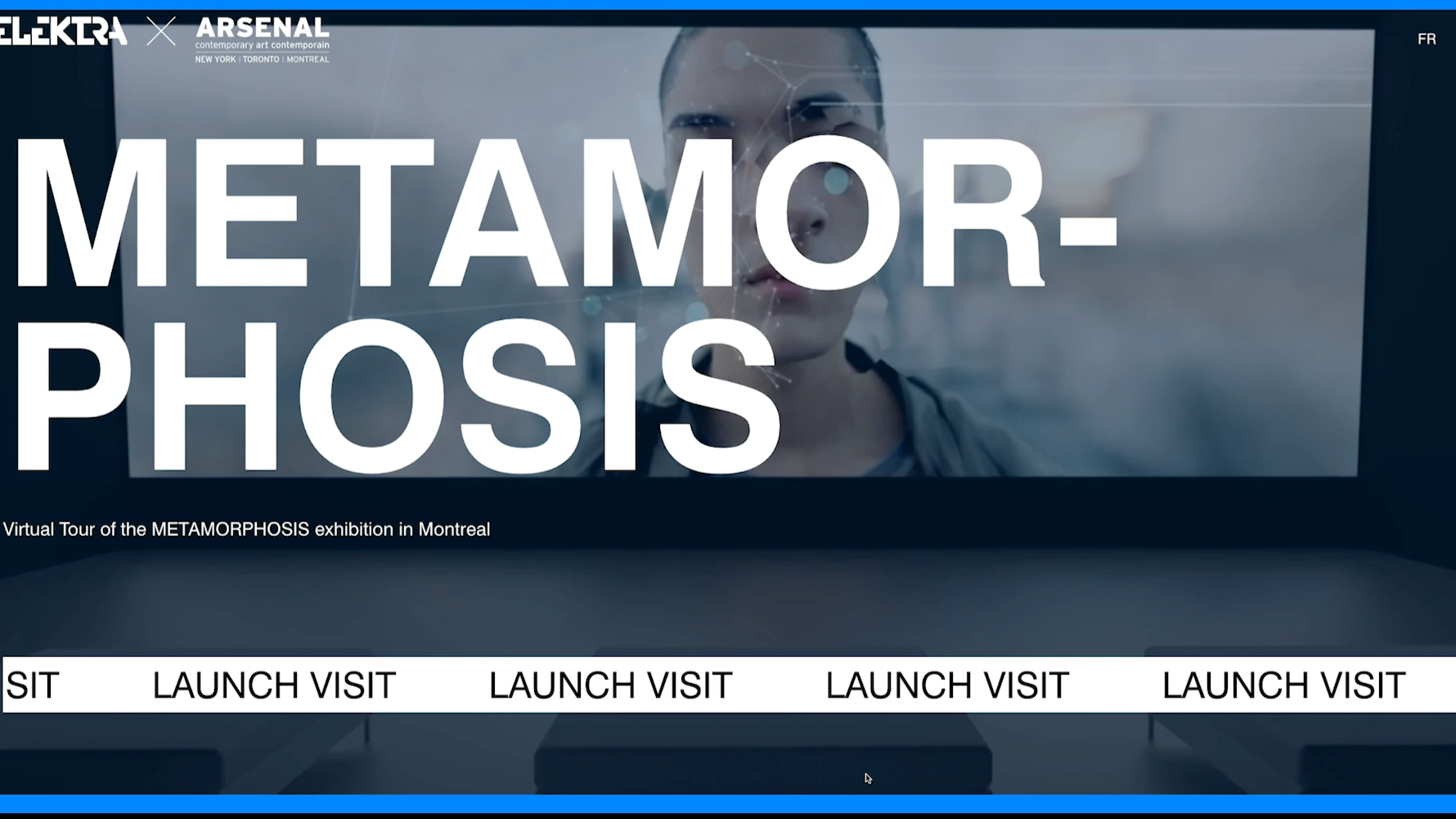 Metamorphosis Exhibition Virtual Visit