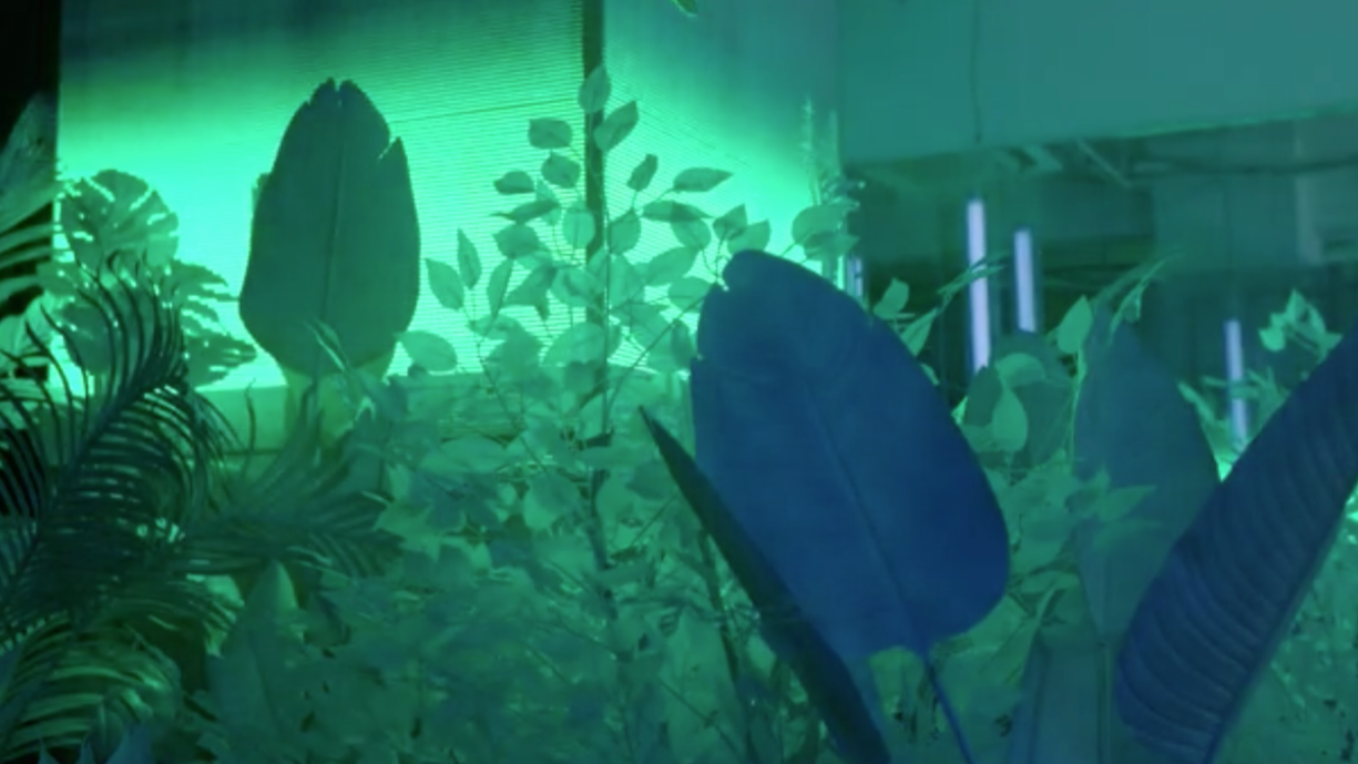上海淮海路展览项目蛰伏-负向温室