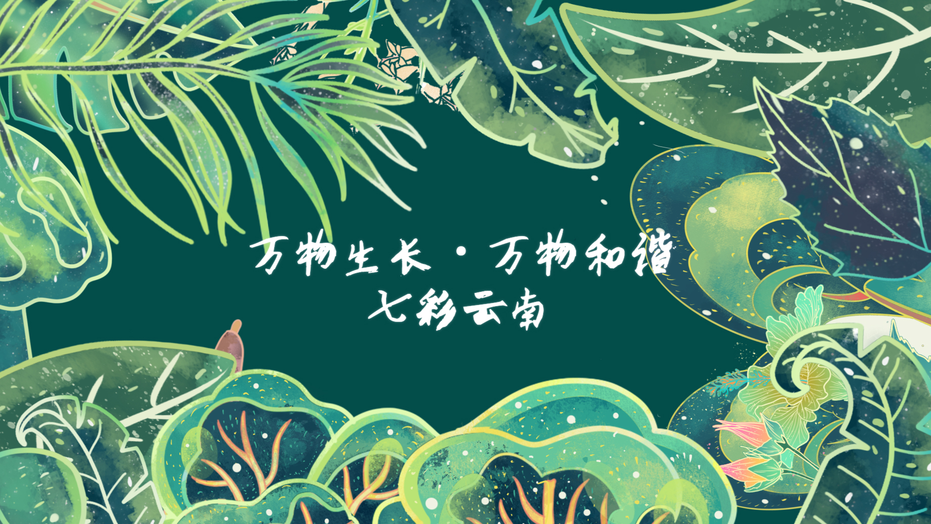滇南仙境