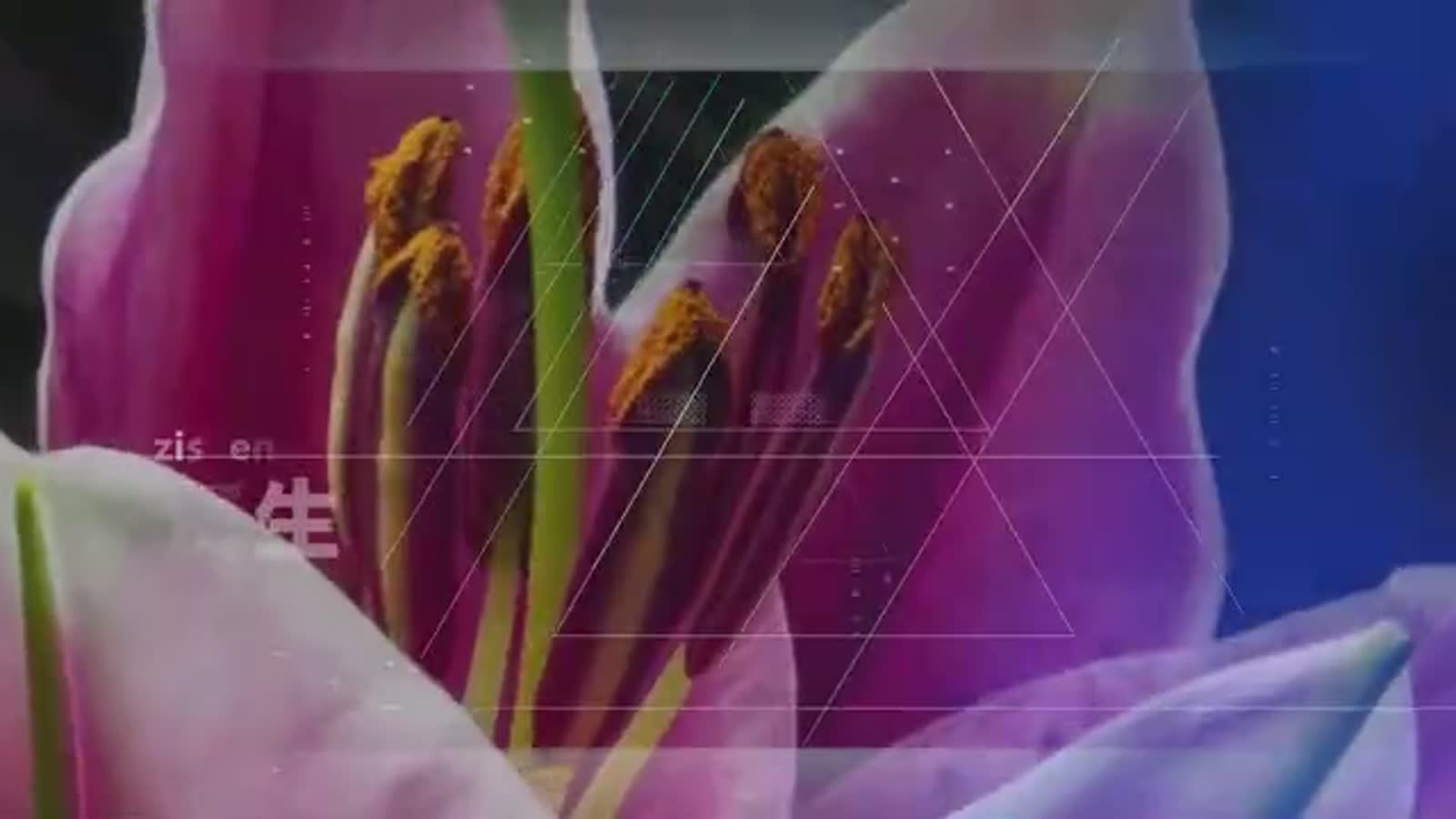 三维CG动画鉴赏展示