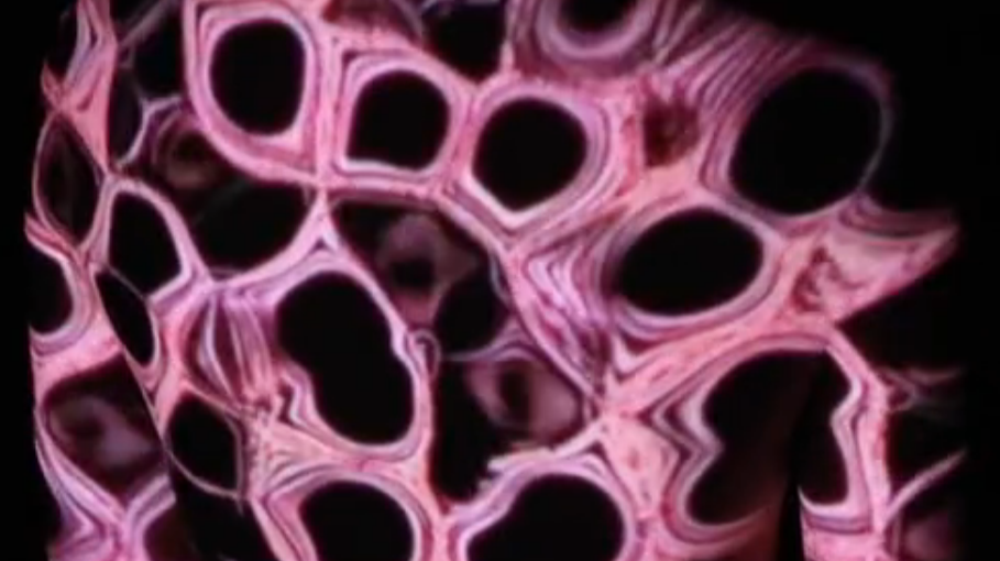《噬PHAGOCYTOSE》中国美术学院媒介与交互研究所二年级核心课程《影音叙事》作品