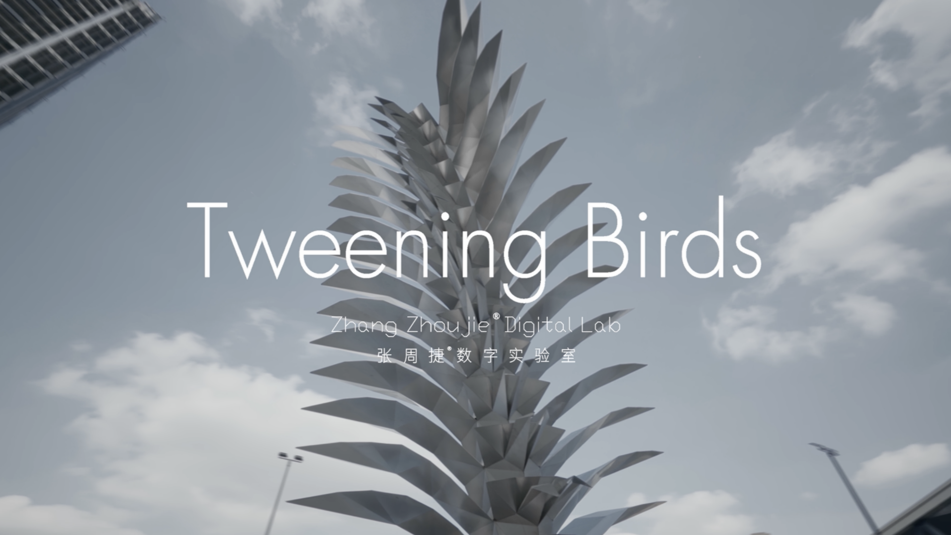 Tweening Birds | 由“补间算法”生成的装置作品