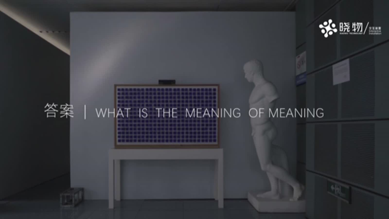 答案｜WHAT IS THE MEANING OF MEANING