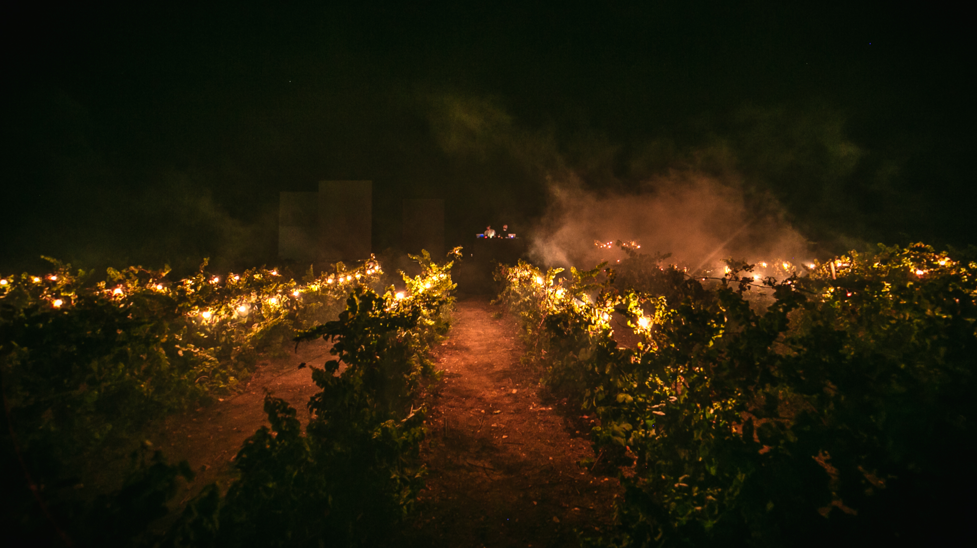 Invisibili orchestre; La vendemmia notturna