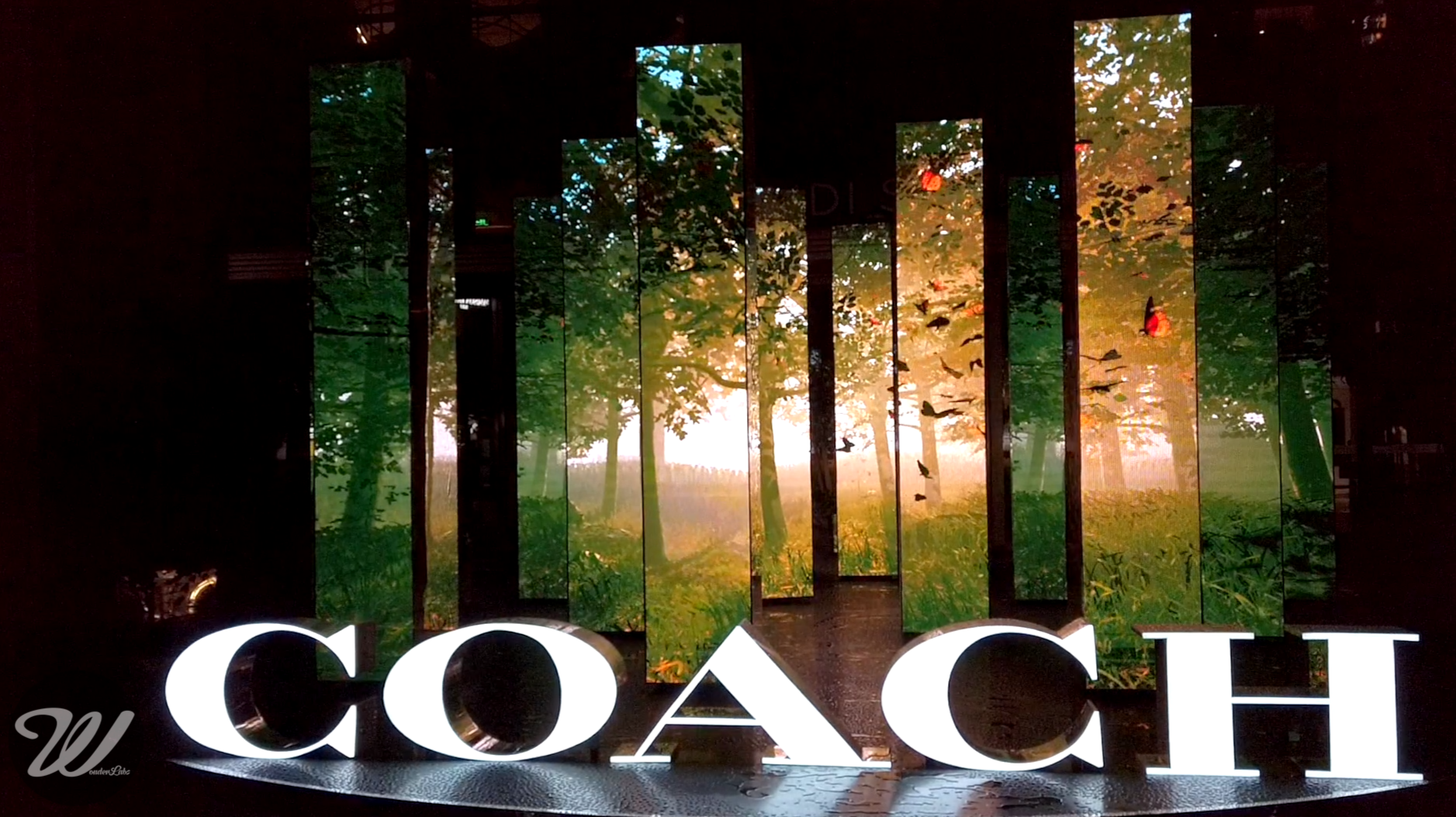 Coach Forever Mirror Forest