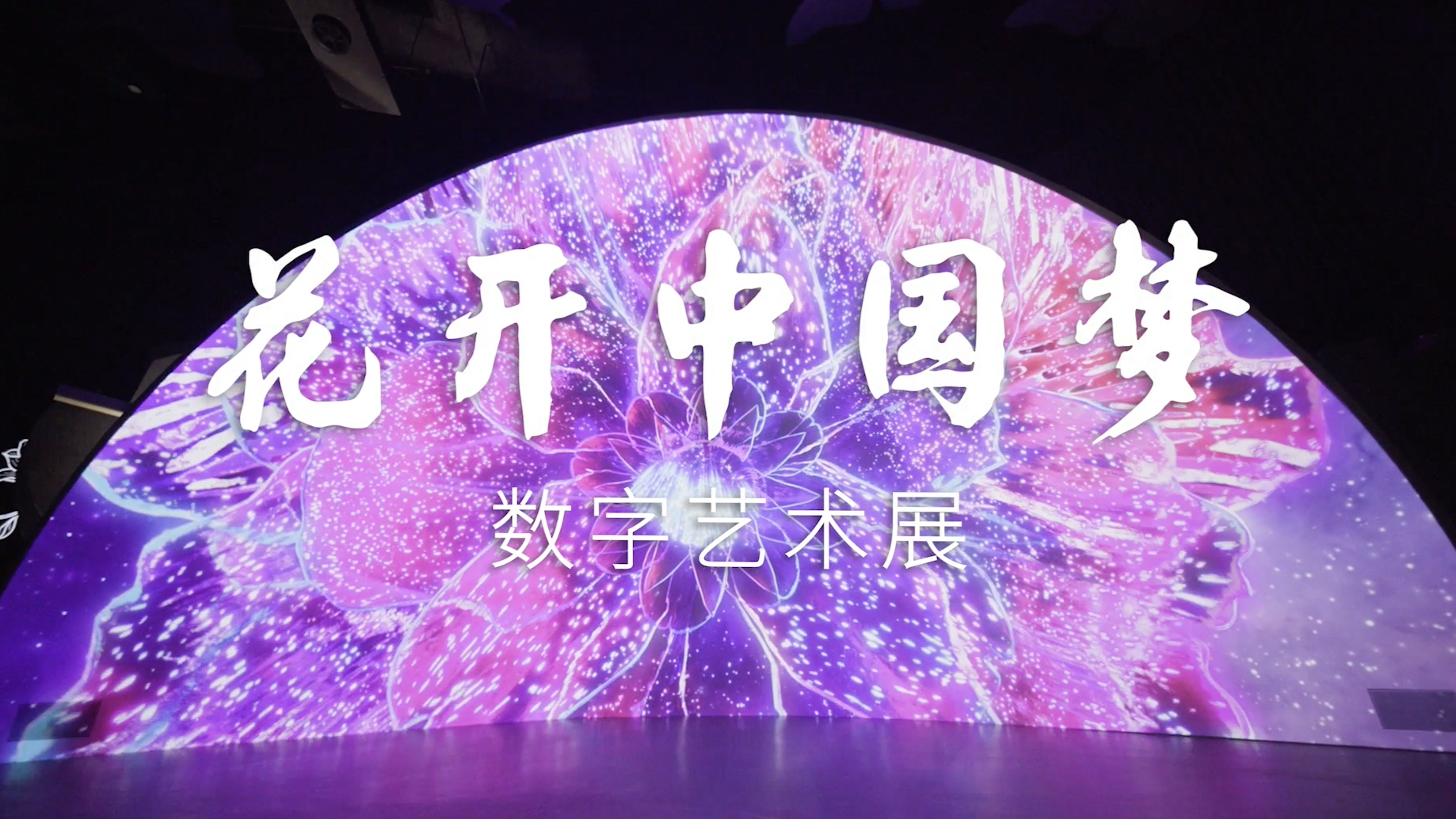 第十届中国花博会数字艺术主题展