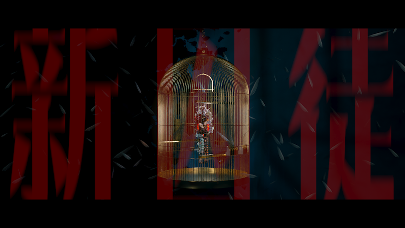 The New Prisoner