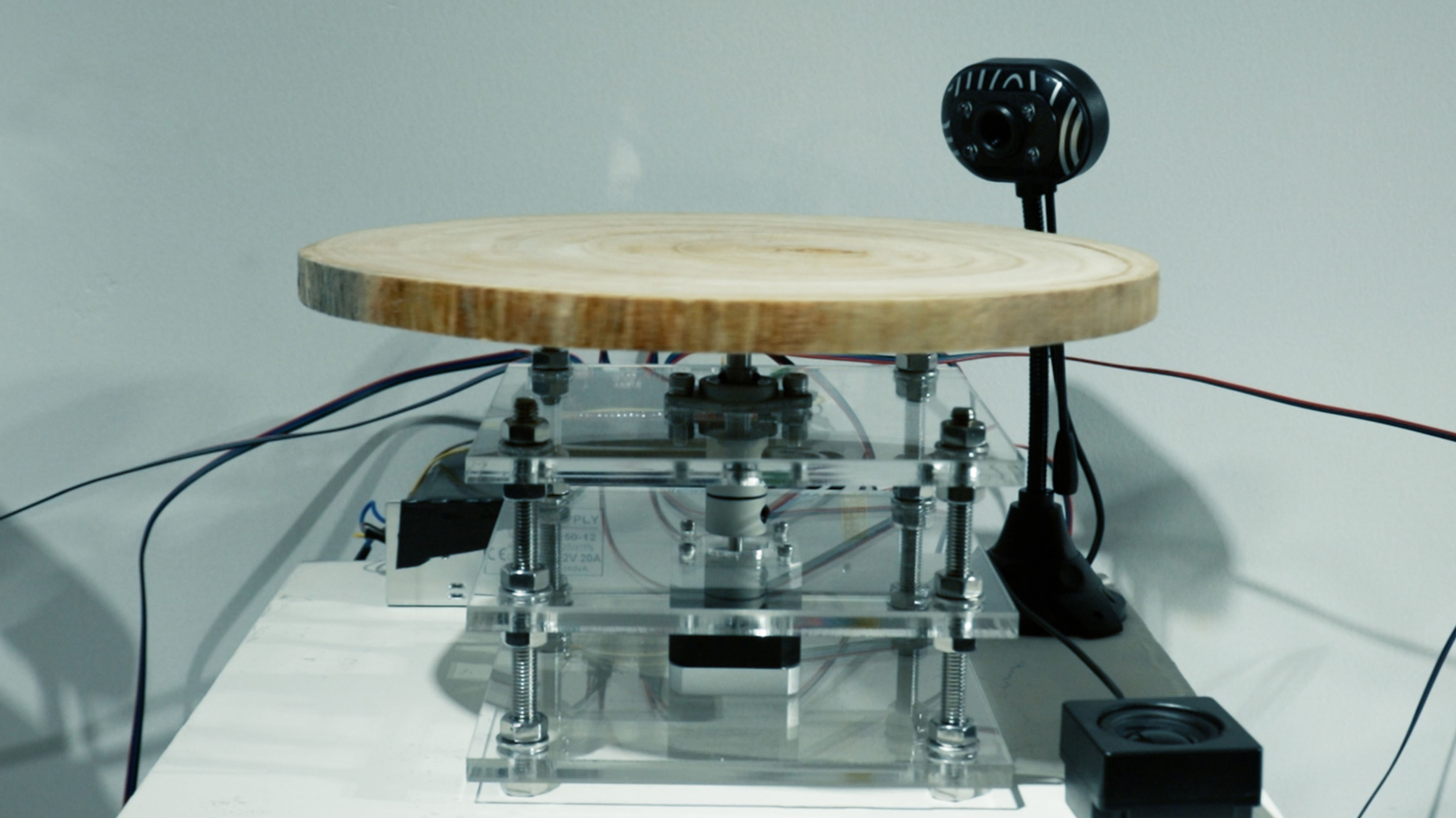Voices | Scanning Tree Rings to Generate Music