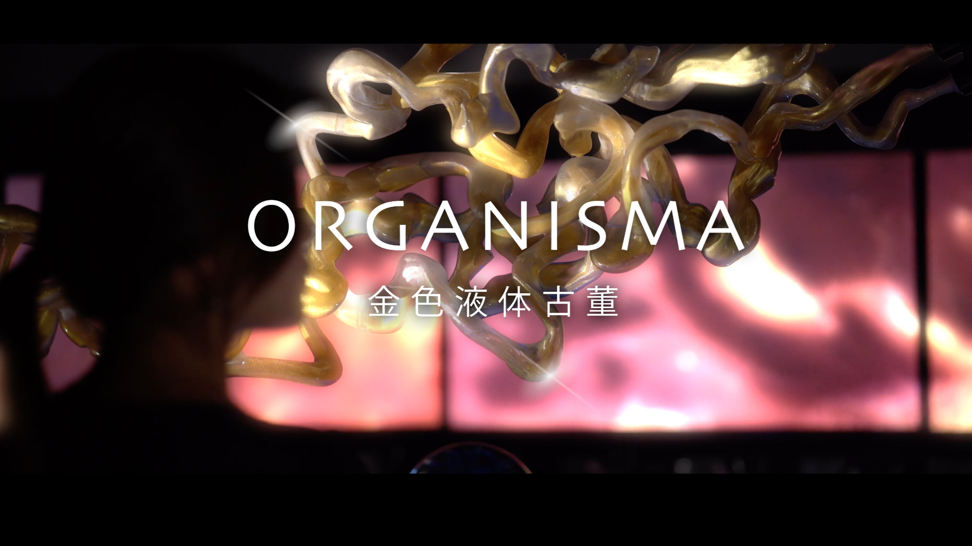 Organisma 
