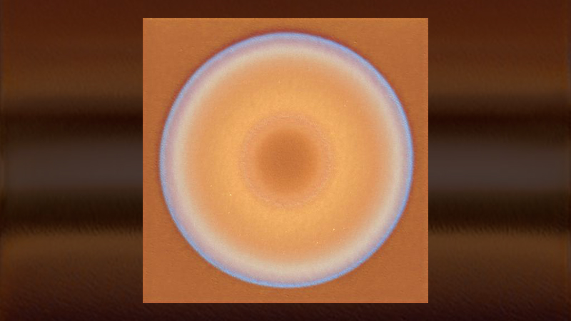 Fundamental Pureness (2021)