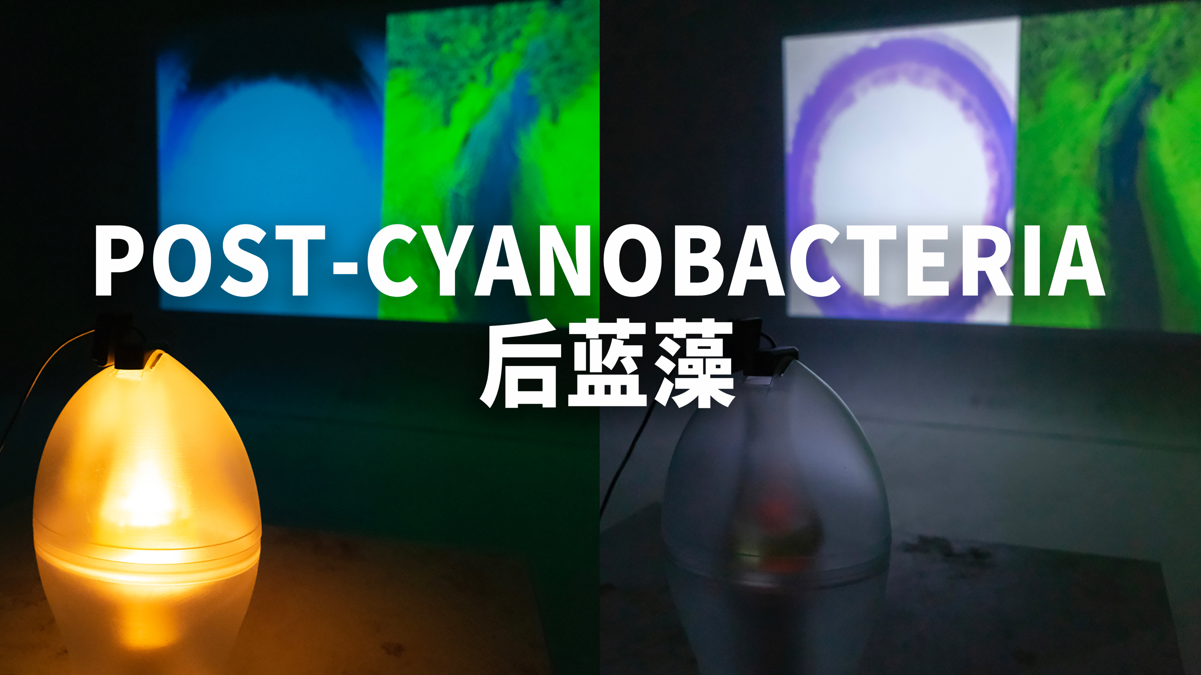 POST-CYANOBACTERIA 