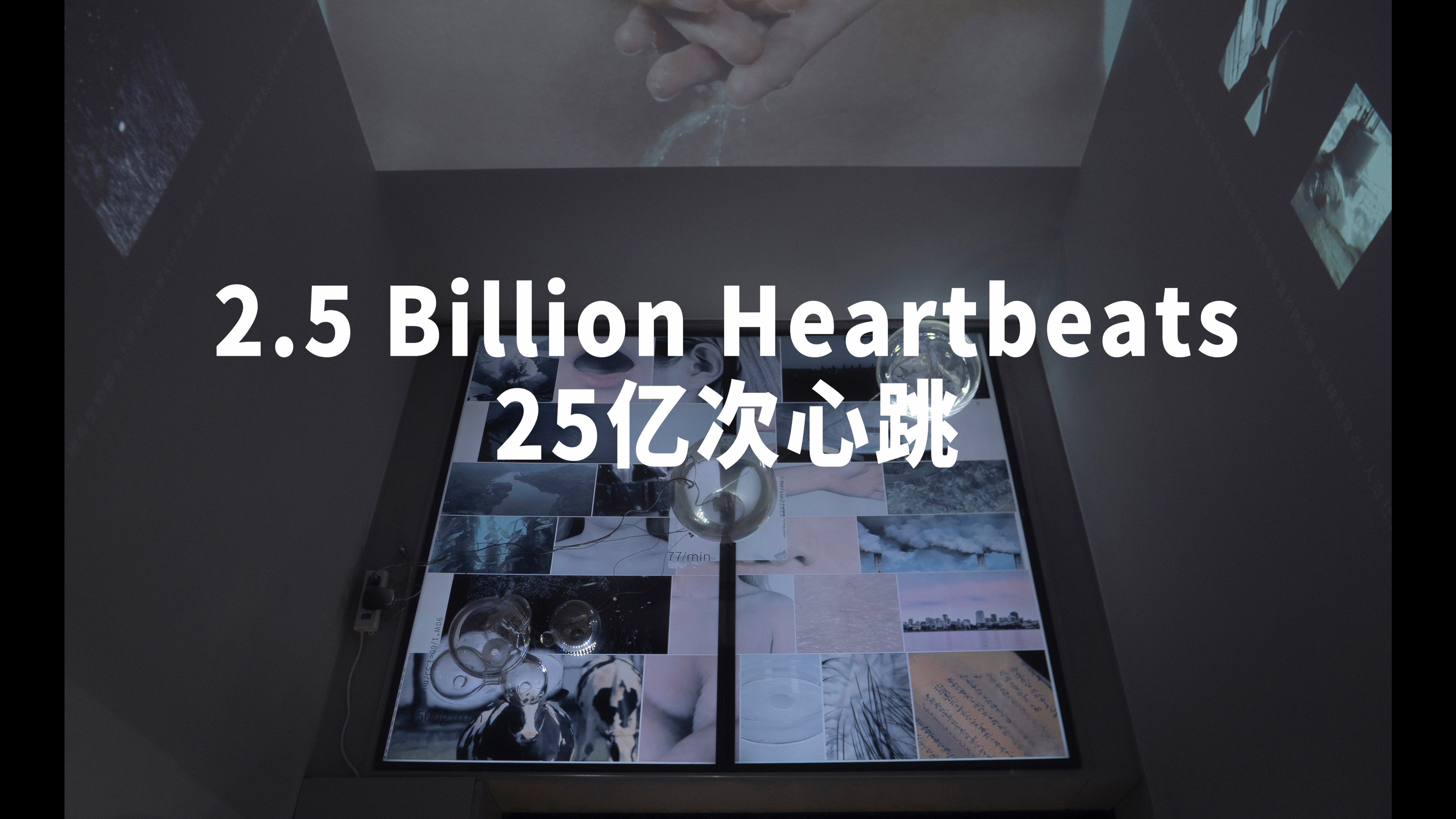 2.5 Billion Heartbeats