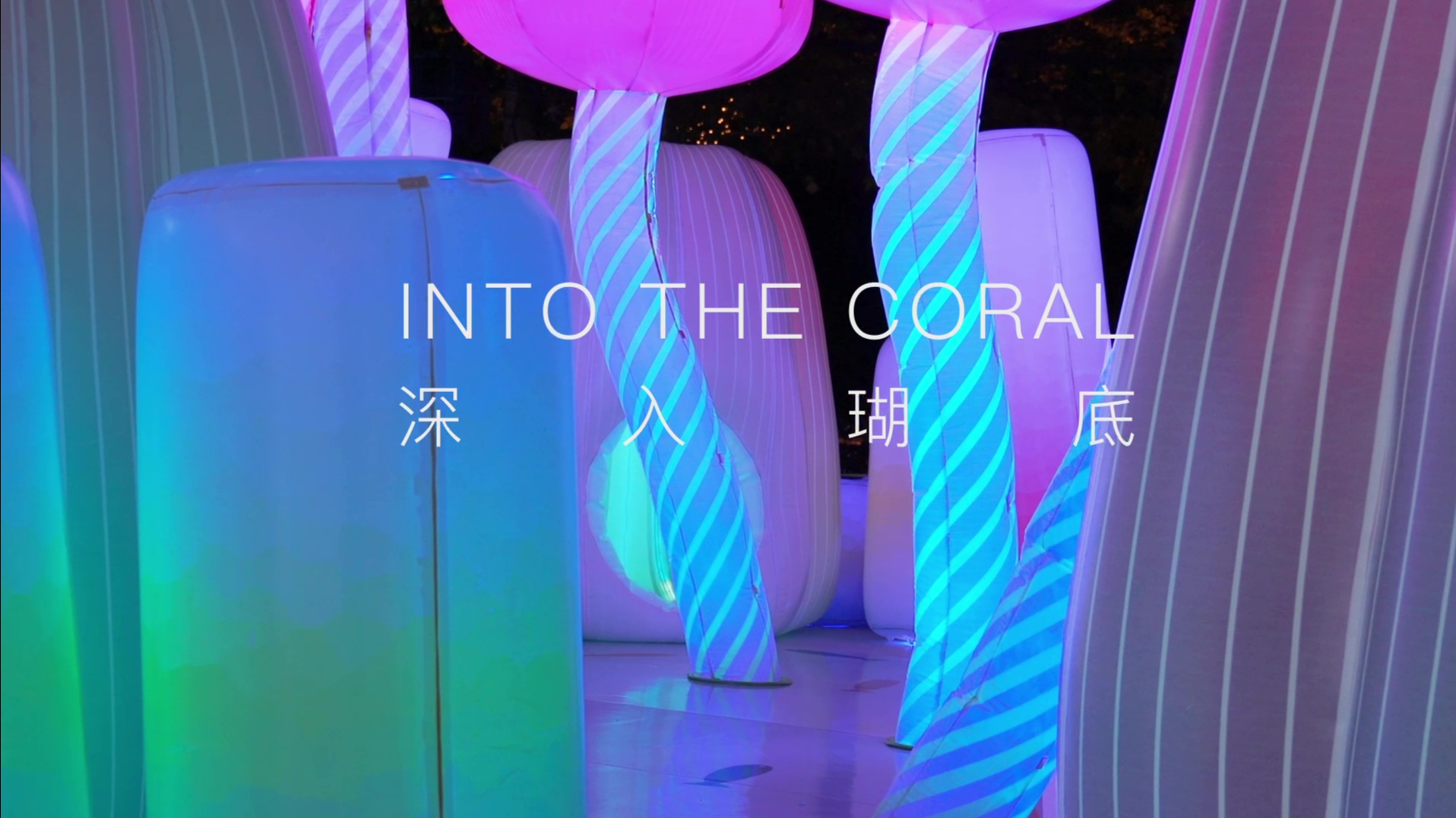 In To The Coral