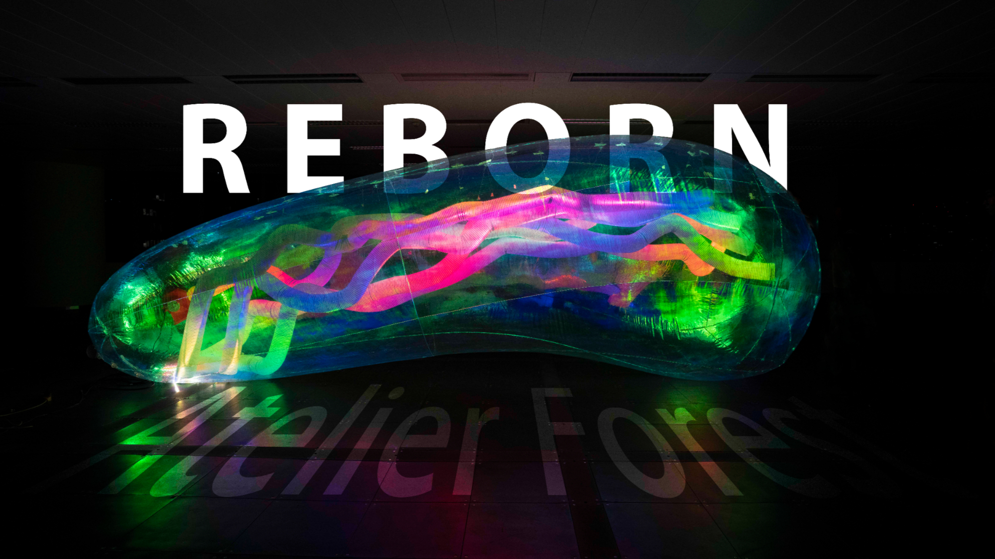 Reborn