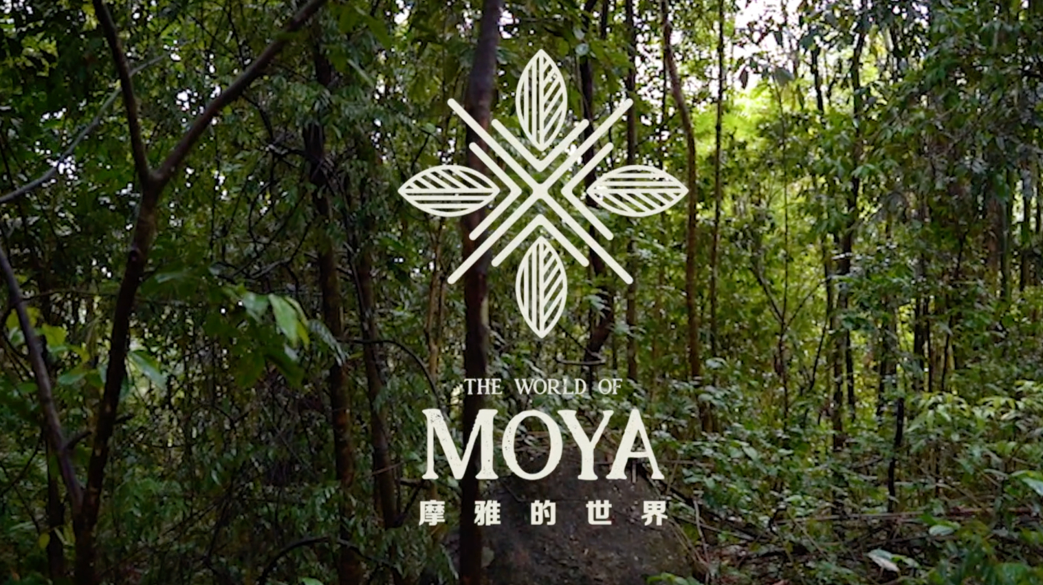 The world of MOYA