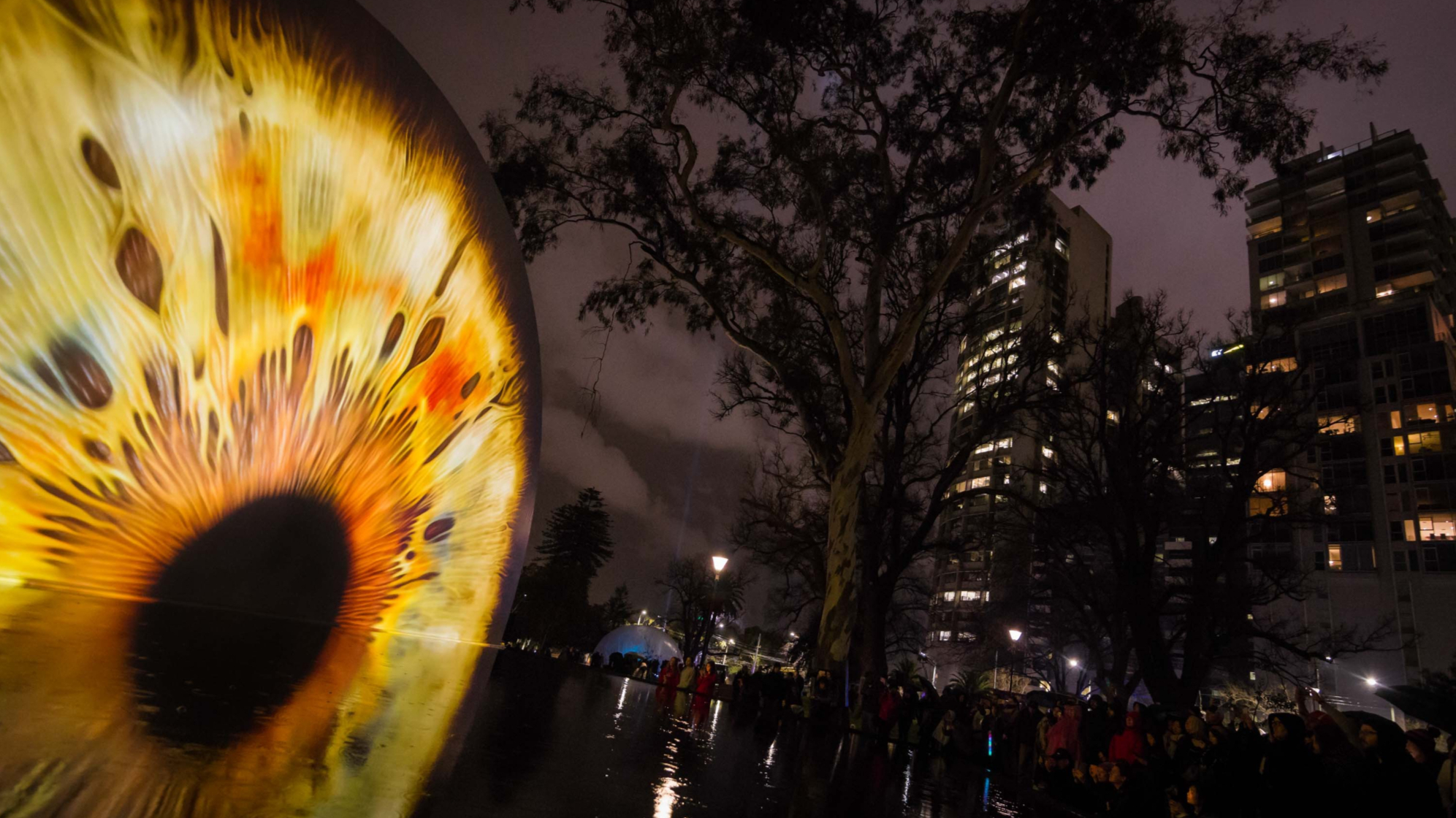 IRIS, White Night Melbourne | light installation