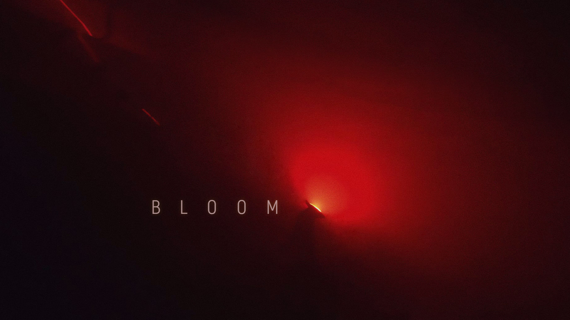 BLOOM |  kinetic laser and sound installation