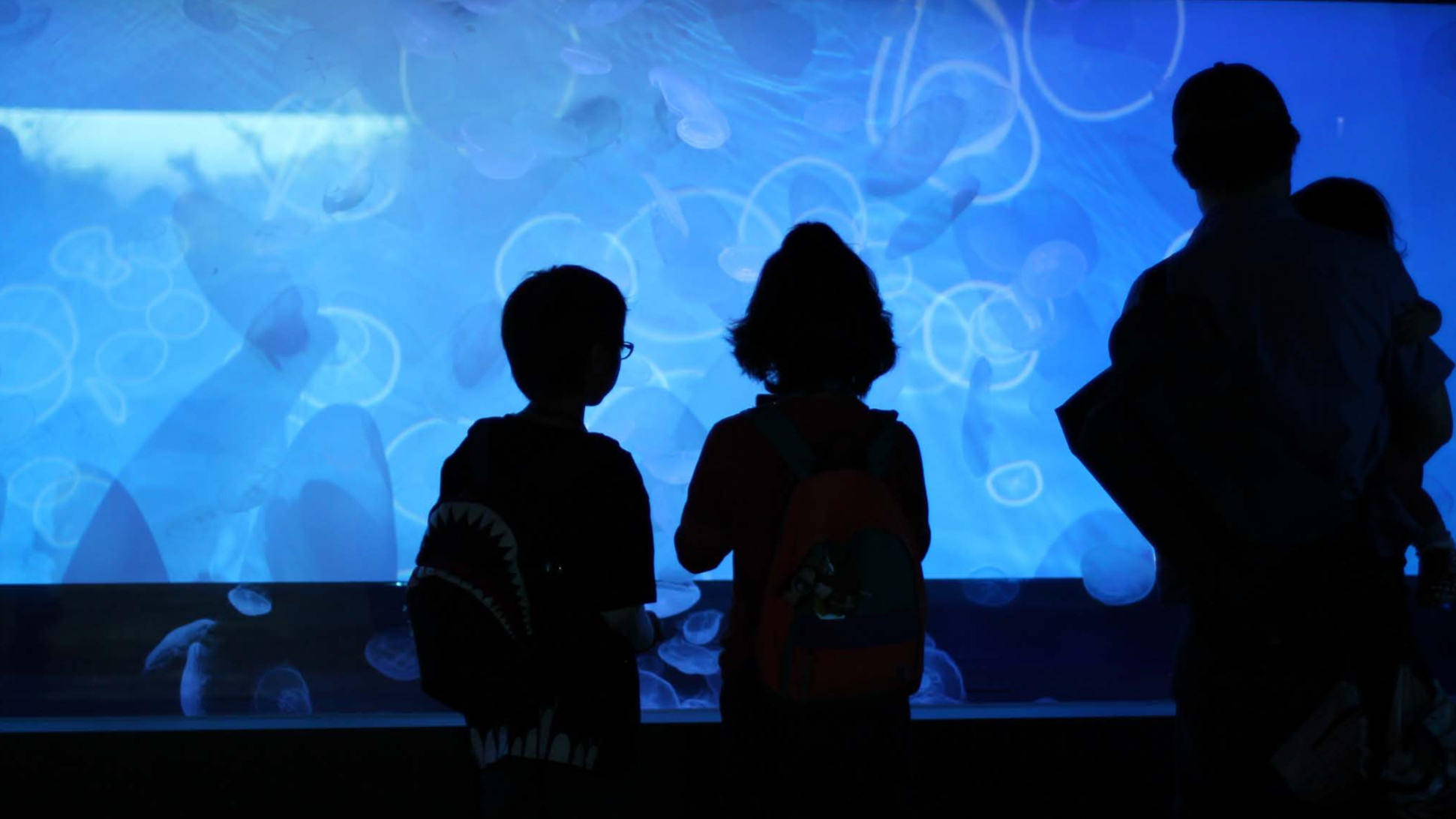 すみだ水族館