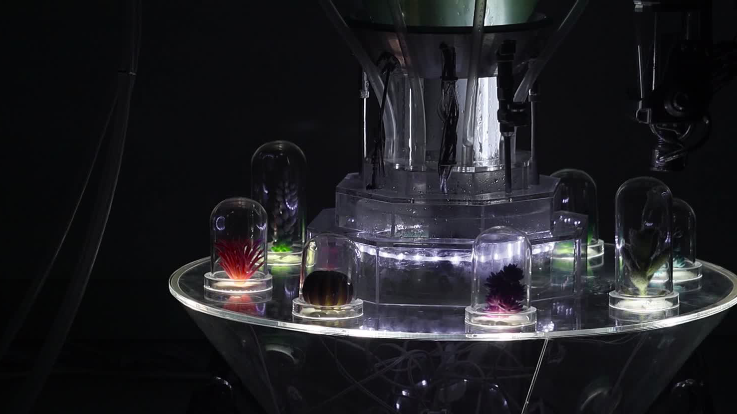 DEAD&ALIVEOFNEWERA - Installation Art Work