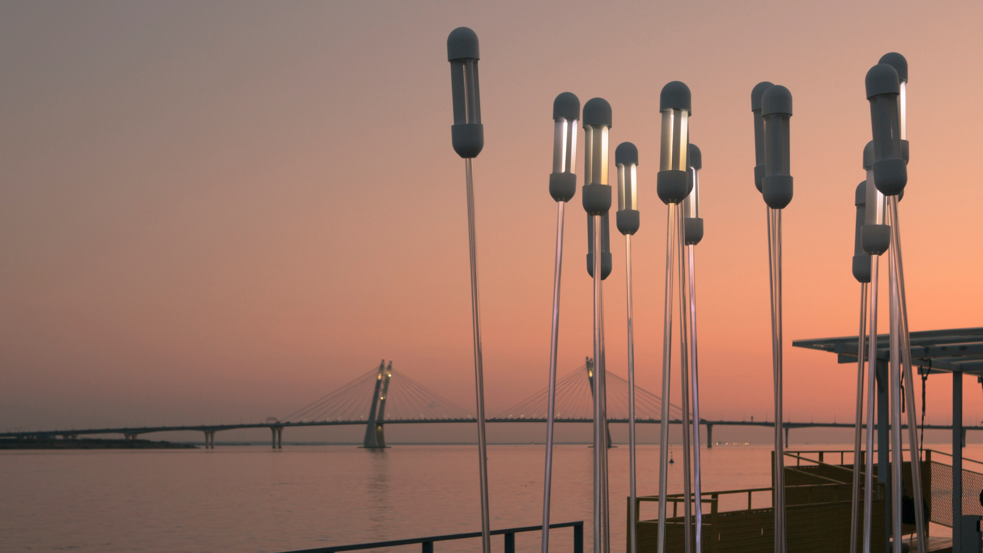 Reeds – Wind-powered light stems in the harbour