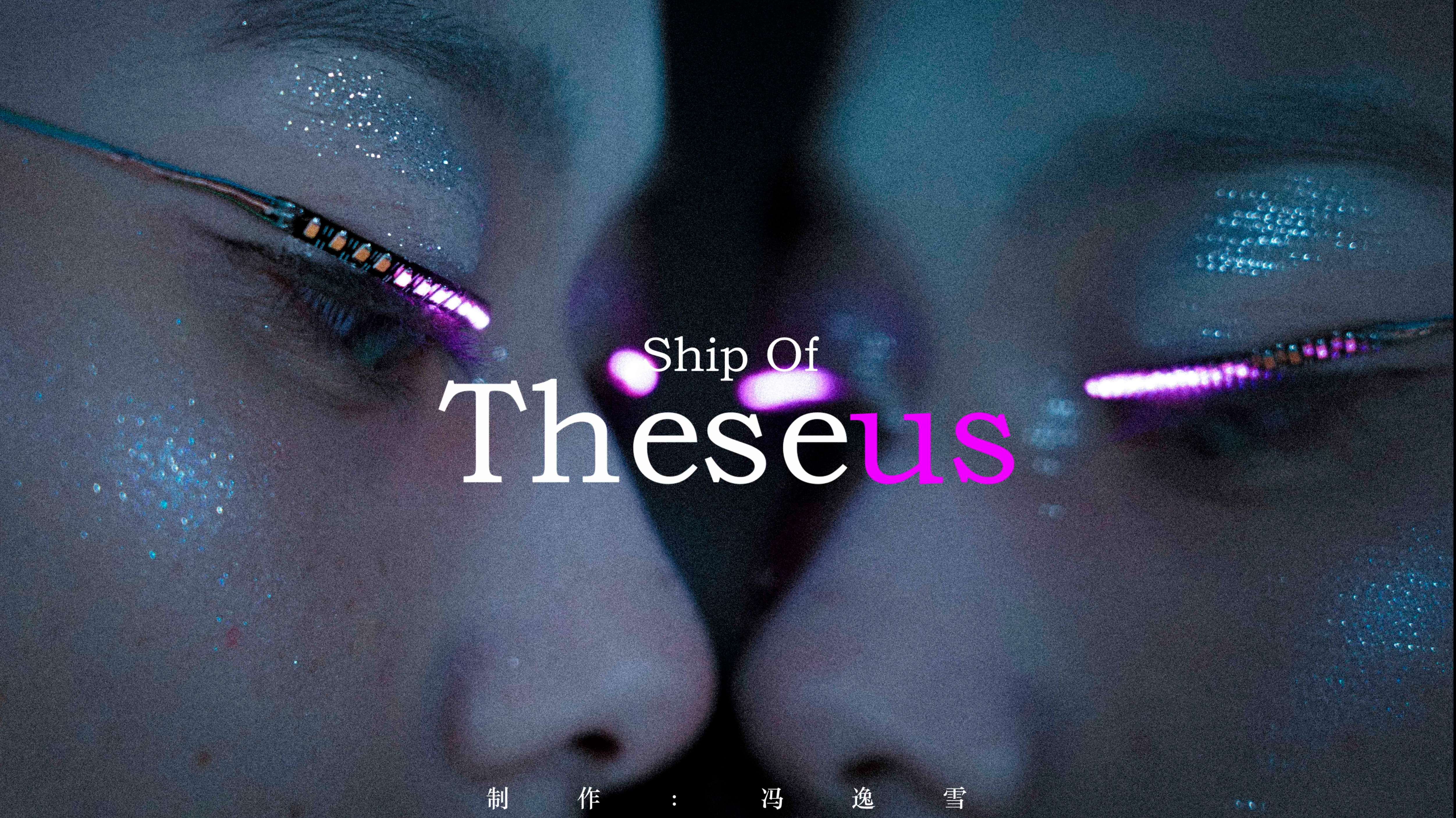 《Ship of Theseus2020》