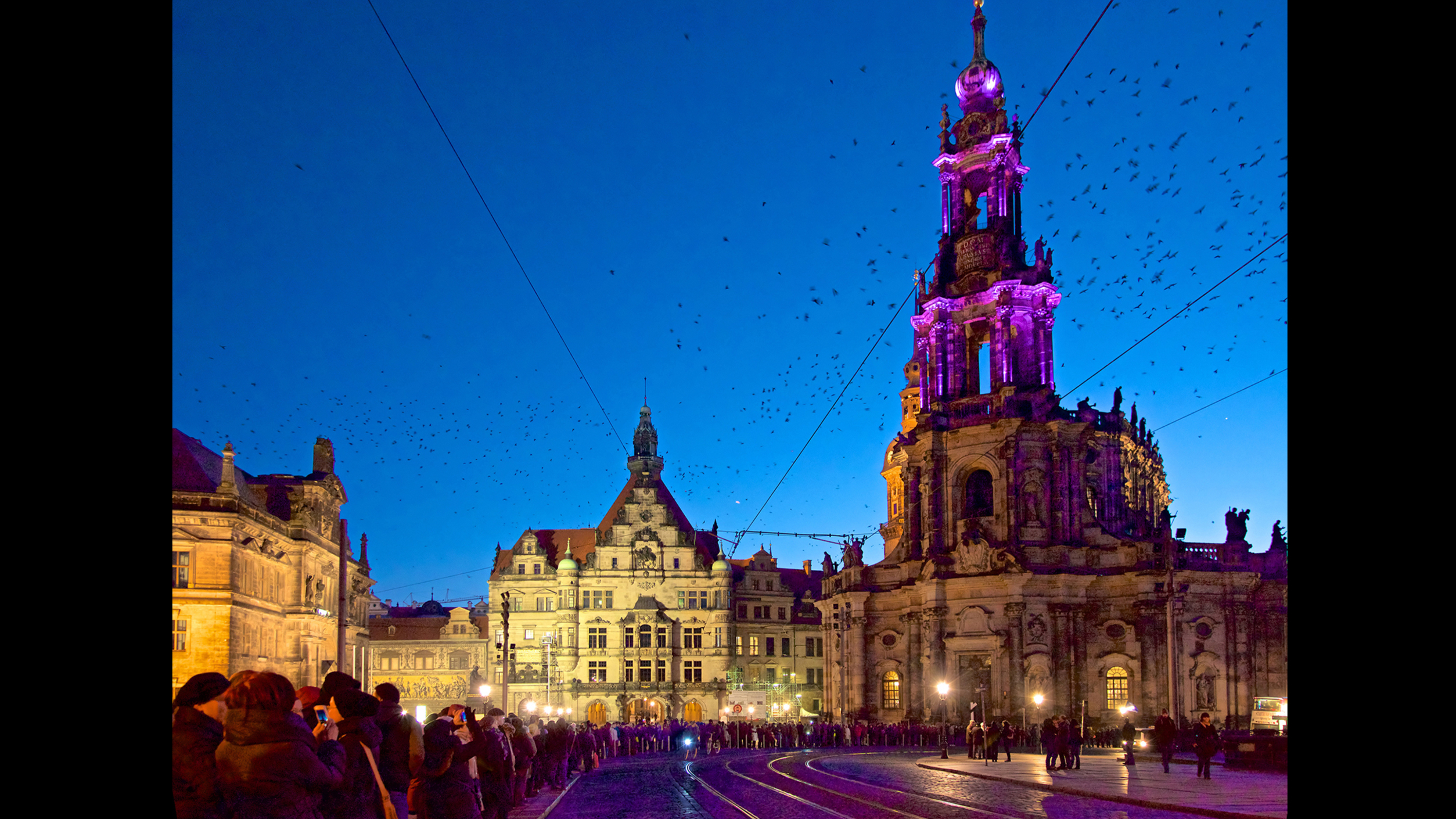 “Breath of Life/Dresden” ©Stuart Williams