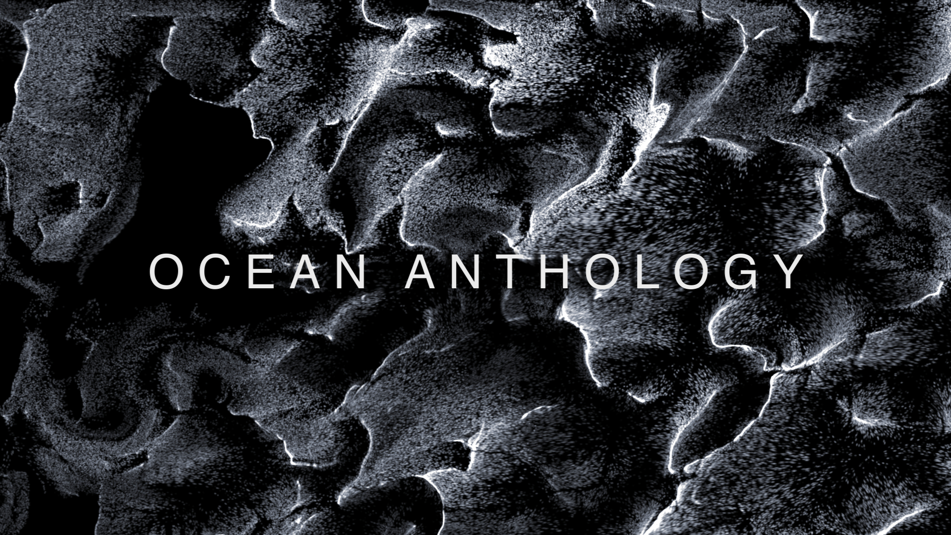 OCEAN ANTHOLOGY 