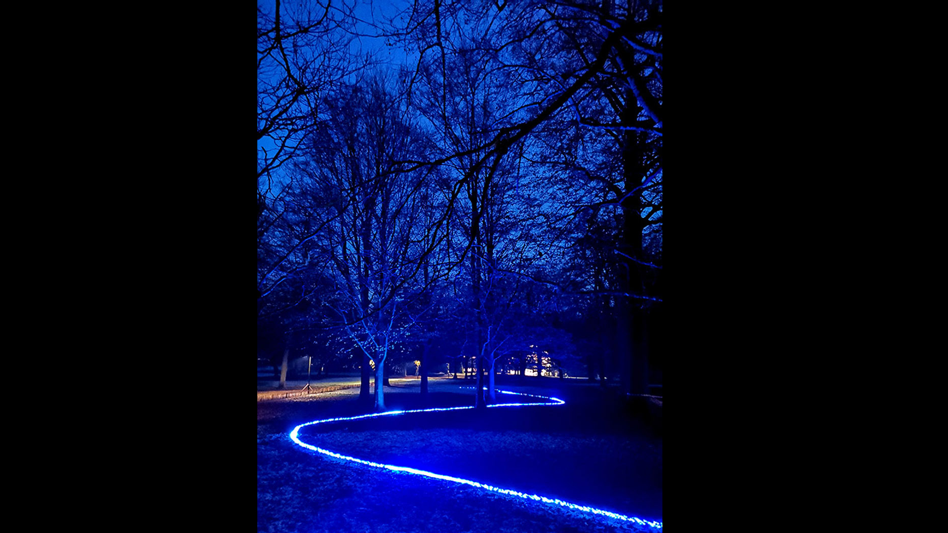 "Enchanted  River" Bruxelles 2021