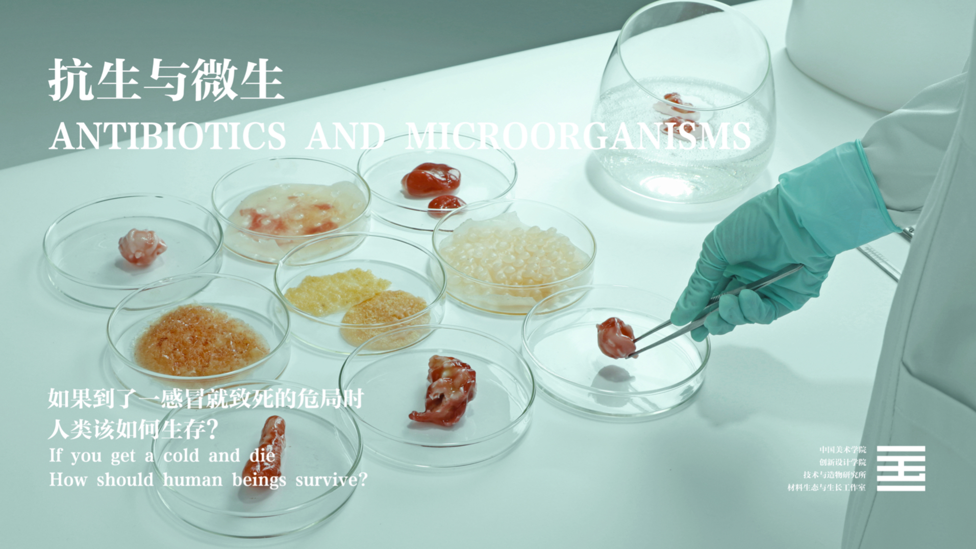 Antibiotics and Microorganisms