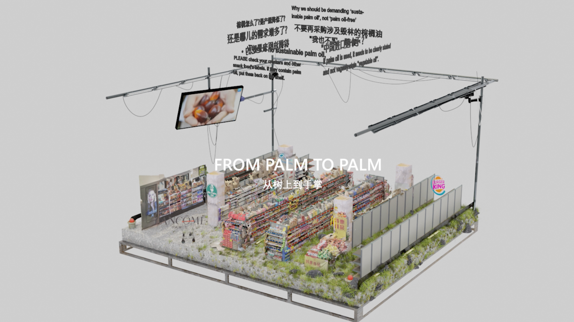 FROM PALM TO PALM