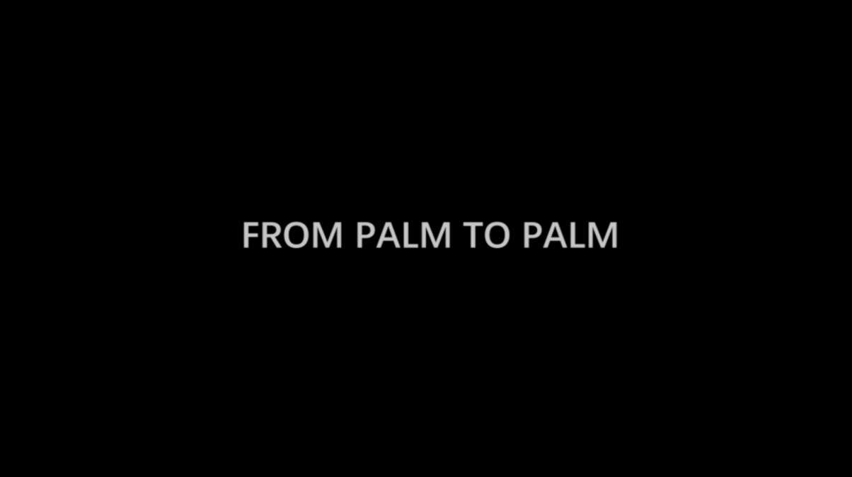 FROM PALM TO PALM