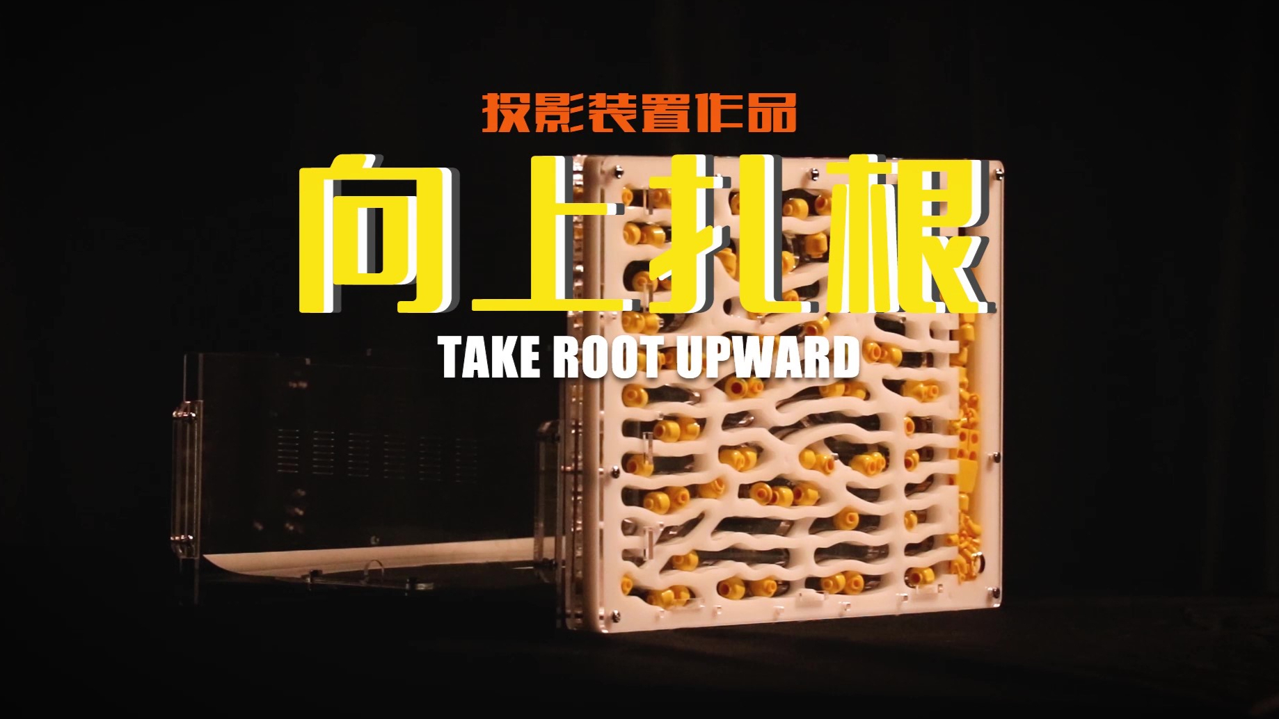 Take root upward