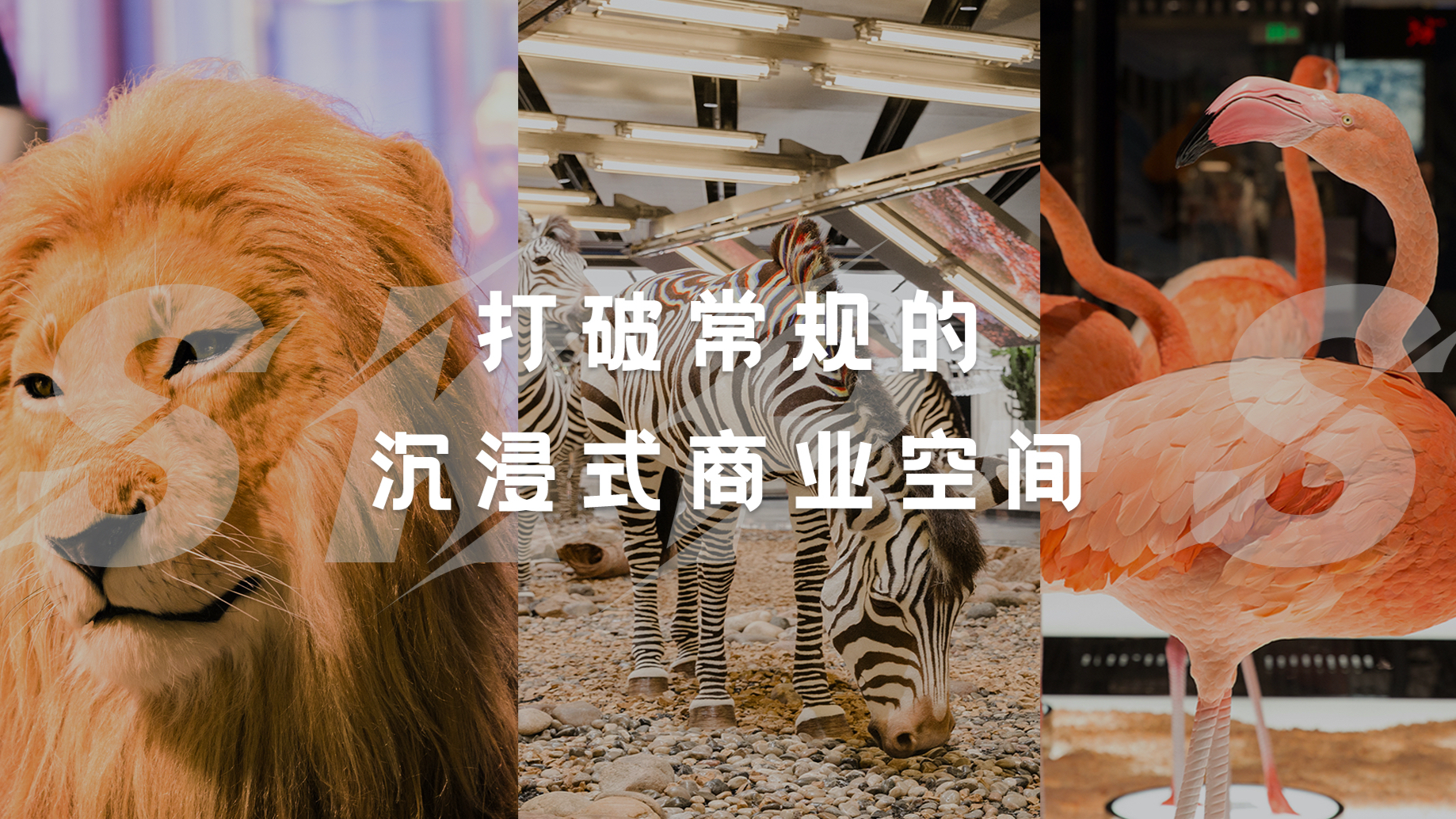 打破常规的沉浸式商业空间