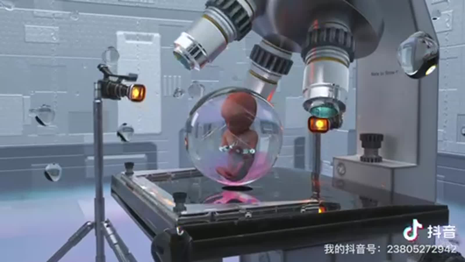 虚拟装置艺术《观》