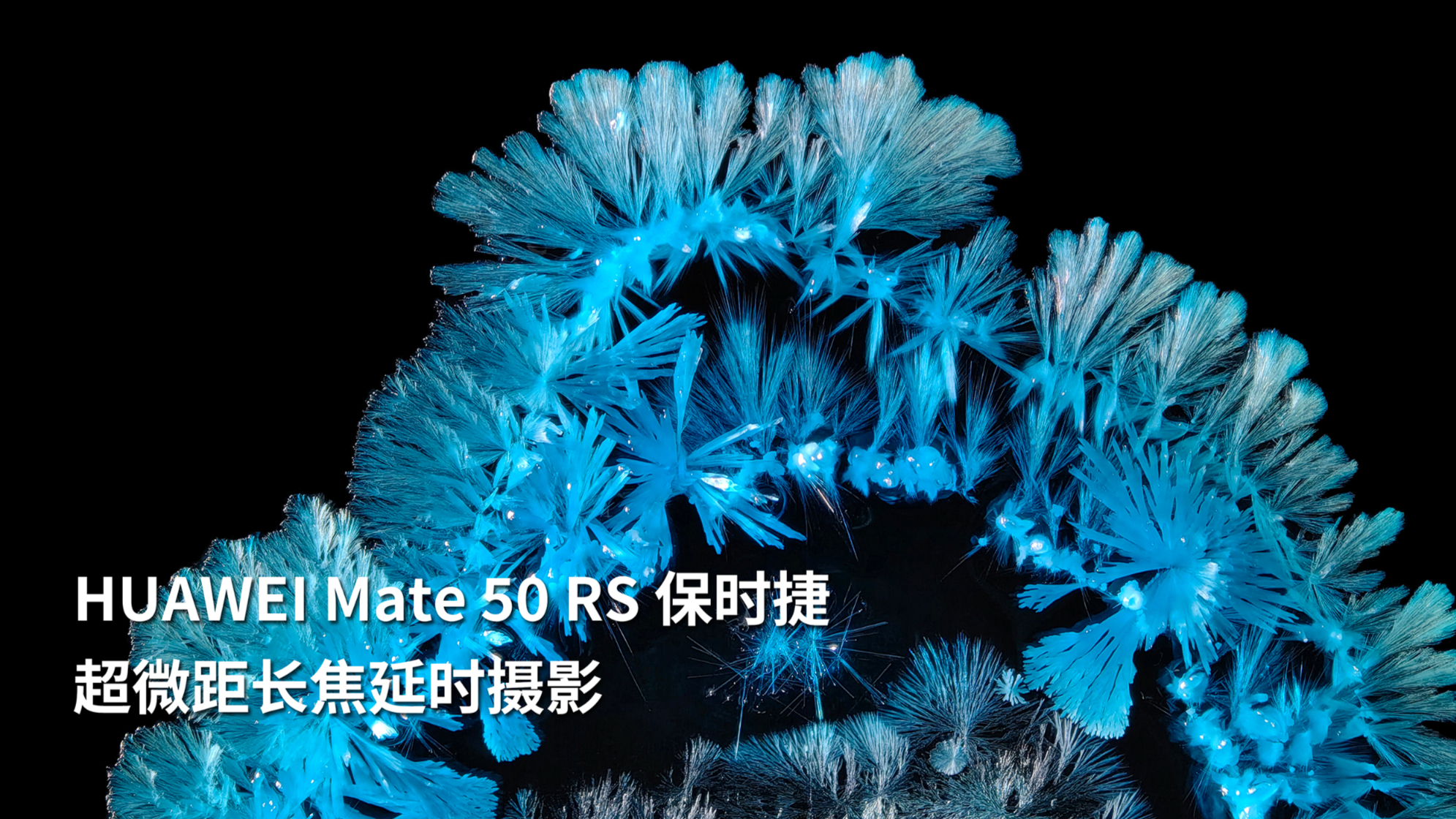HUAWEI Mate 50 RS 保时捷超微距长焦延时摄影