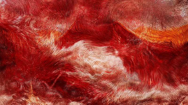 RED DREAM