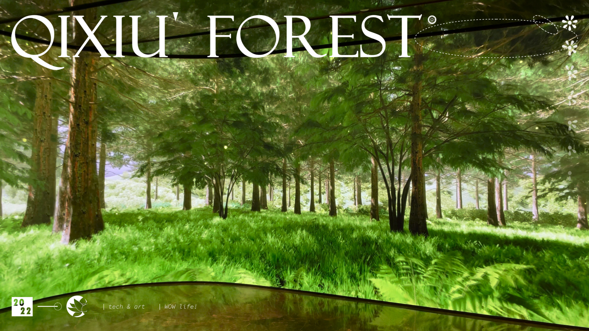 QIXIU FOREST