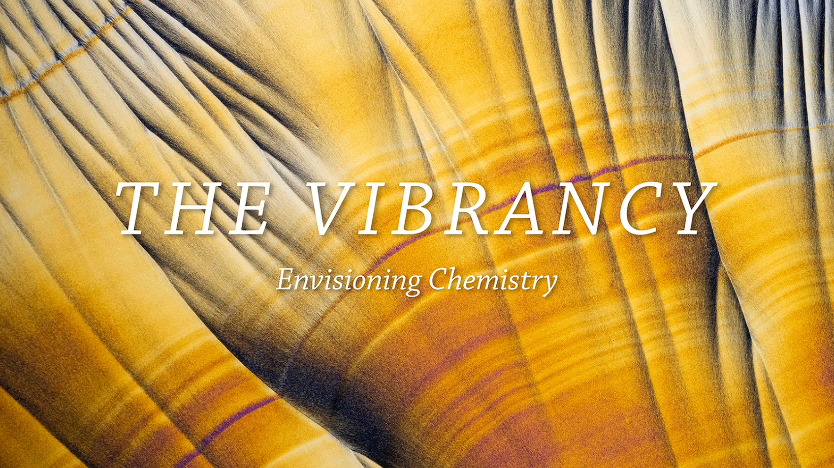 THE VIBRANCY