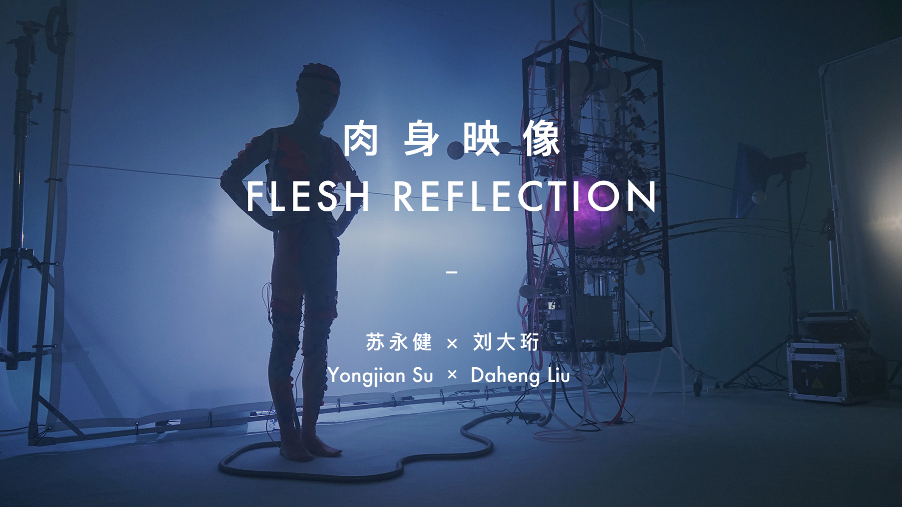 Flesh Reflection
