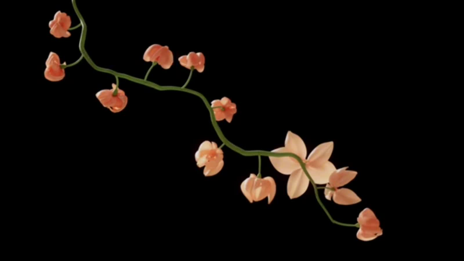 Vellum Flower