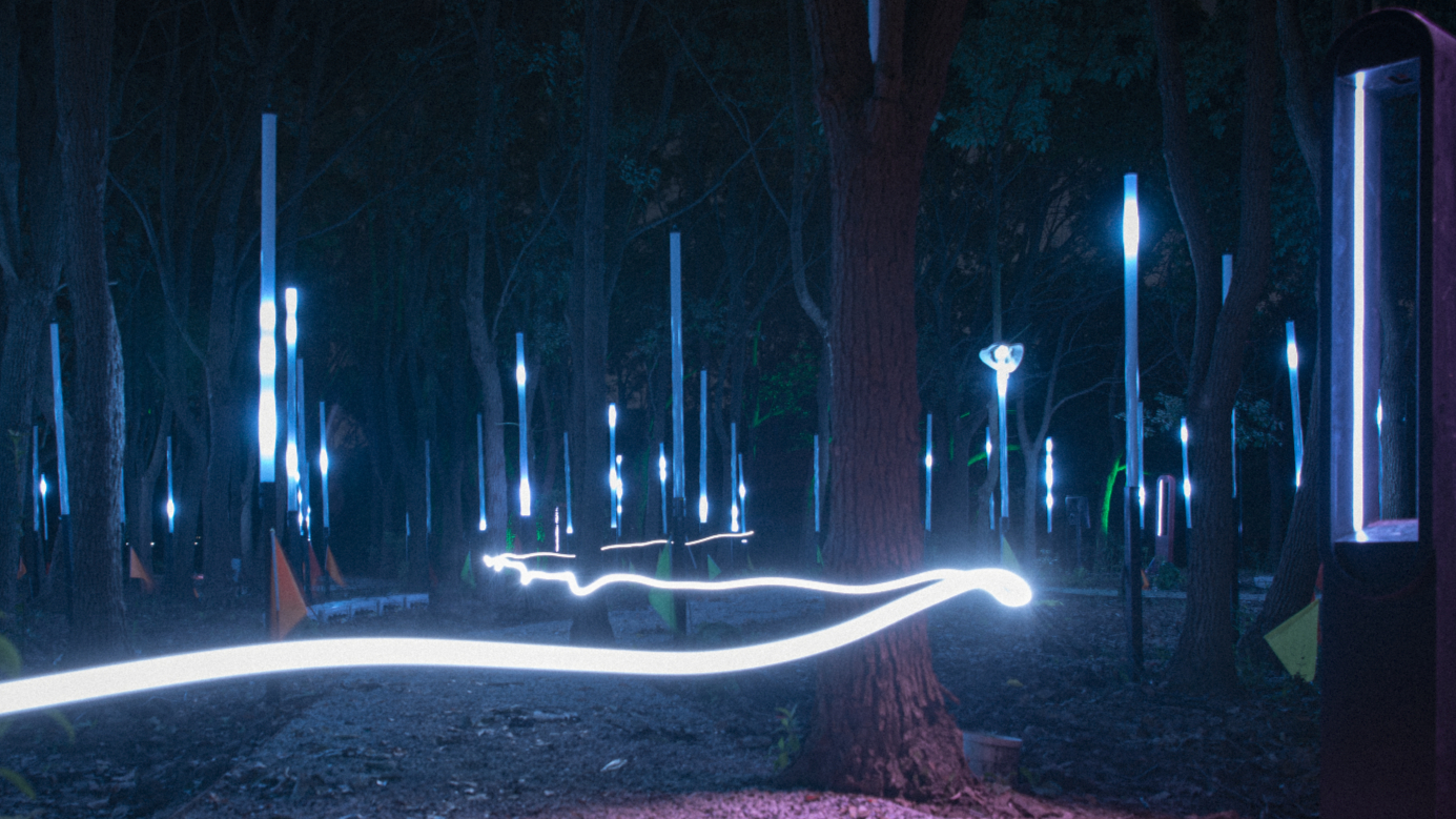 焕光森林·东方曦望 Oriens Lumina