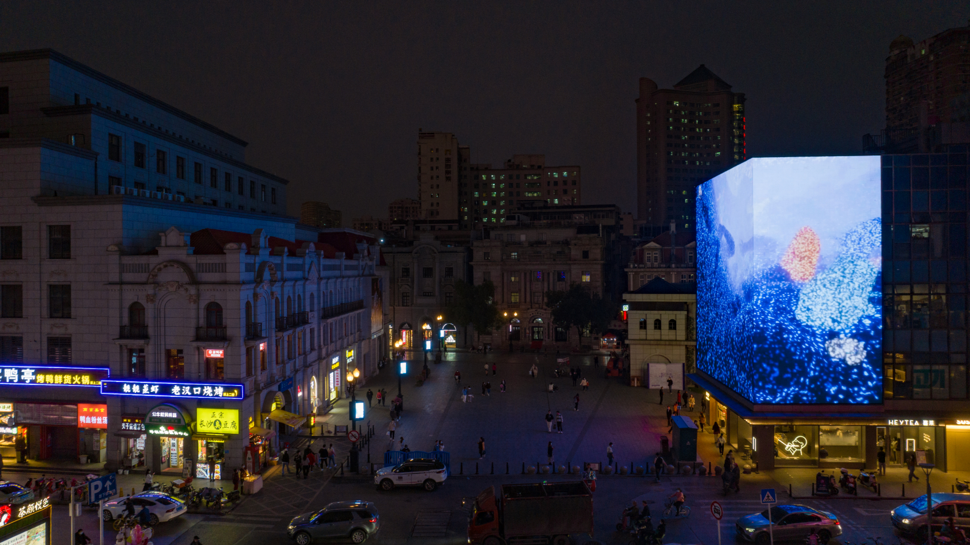 Snow Yunxue Fu's Artist Intro of Two Public Artworks LED Displays by Poly Art