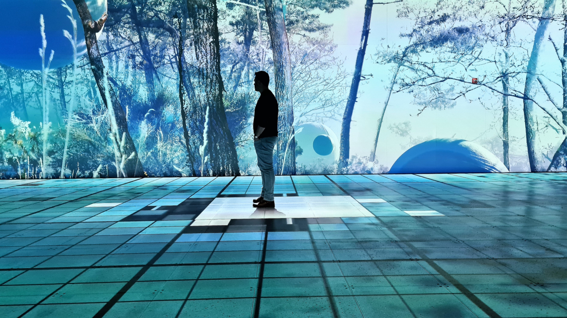 NEW LAND Immersive Experience at Oasis Immersion Montreal